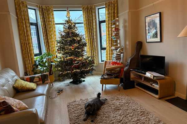 House sit in Manchester, United Kingdom