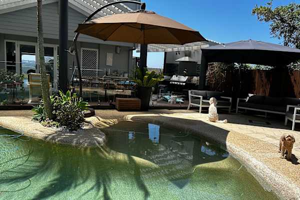 House sit in Wamberal North, NSW, Australia