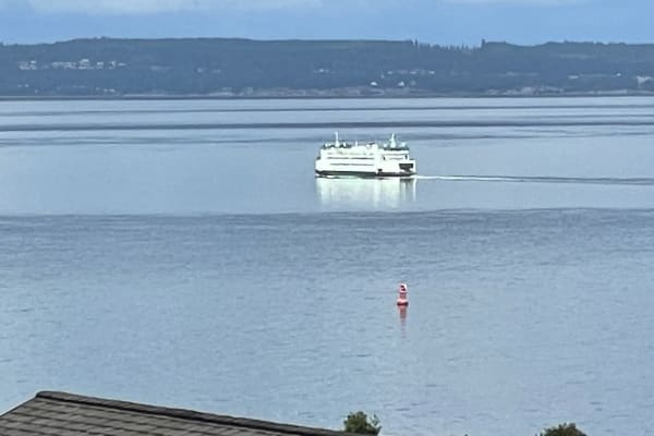 House sit in Port Townsend, WA, US