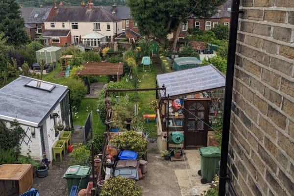 House sit in Sheffield, United Kingdom