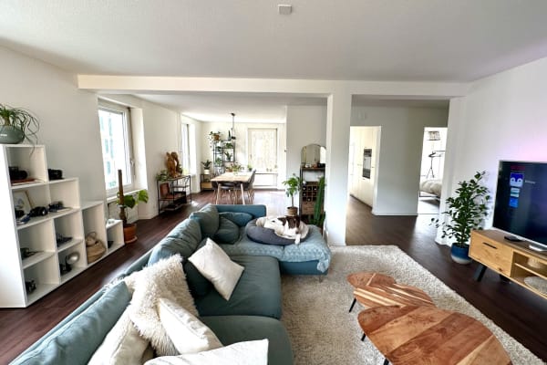 House sit in Luzern, Switzerland