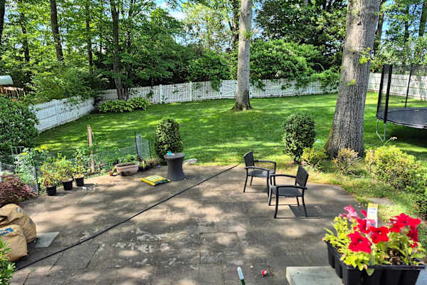 House sit in West Hartford, CT, US