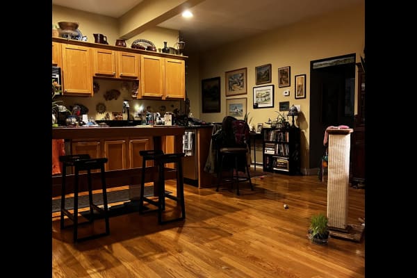 House sit in Boston, MA, US