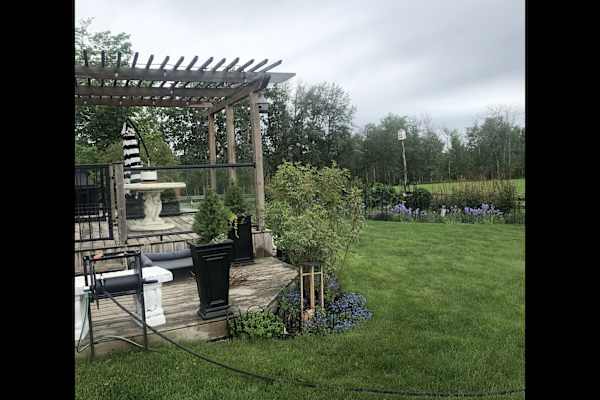 House sit in Red Deer, AB, Canada