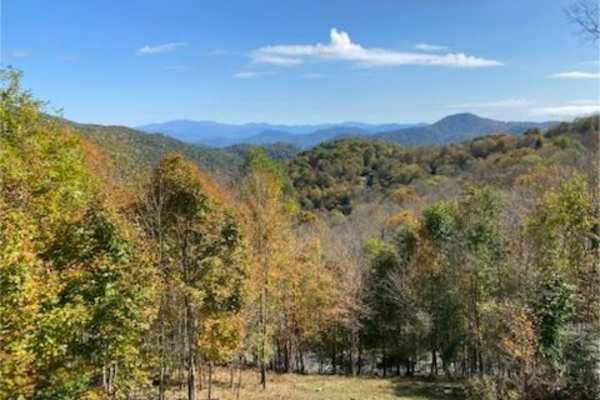 House sit in Mars Hill, NC, US