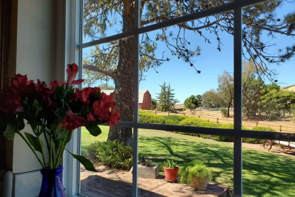 House sit in Templeton, CA, US