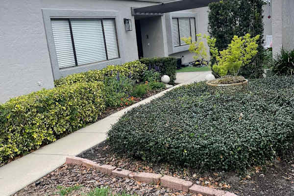 House sit in Tampa, FL, US