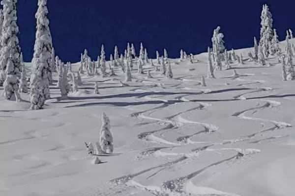 House sit in Nelson, BC, Canada