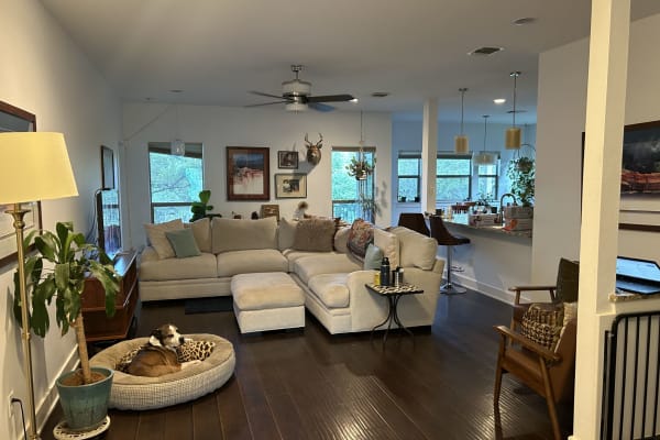 House sit in Dripping Springs, TX, US