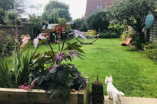 House sit in Hove, United Kingdom