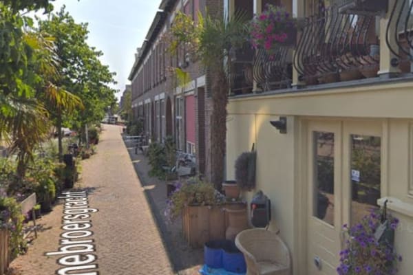 House sit in Leiden, Netherlands
