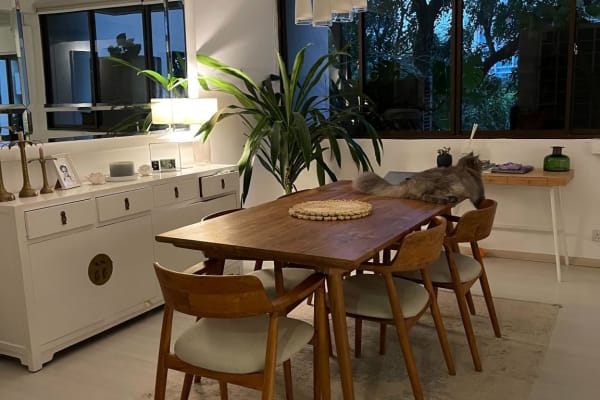 House sit in Bukit Timah, Singapore