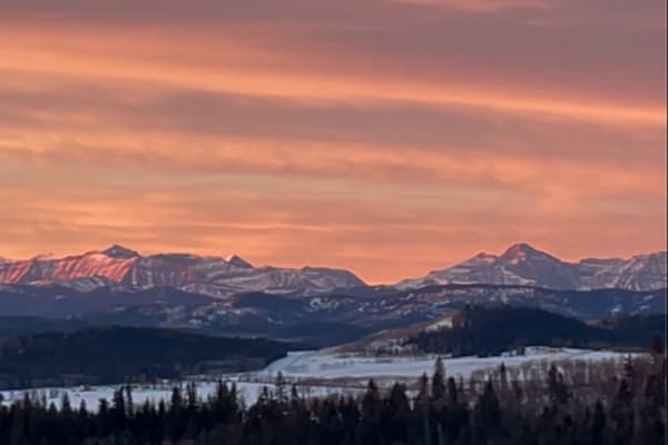 House sit in Calgary, AB, Canada
