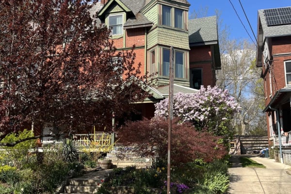 House sit in Philadelphia, PA, US