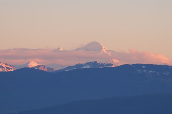 House sit in Gland, Switzerland