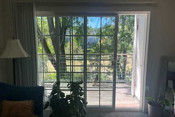 House sit in Larkspur, CA, US