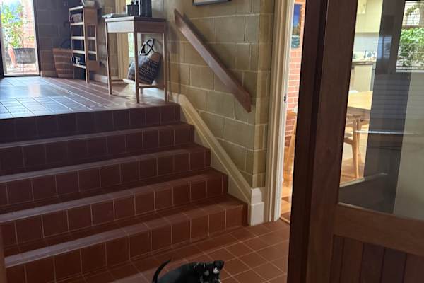 House sit in Albany, WA, Australia