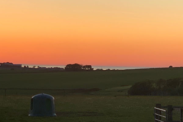 House sit in Banff, United Kingdom