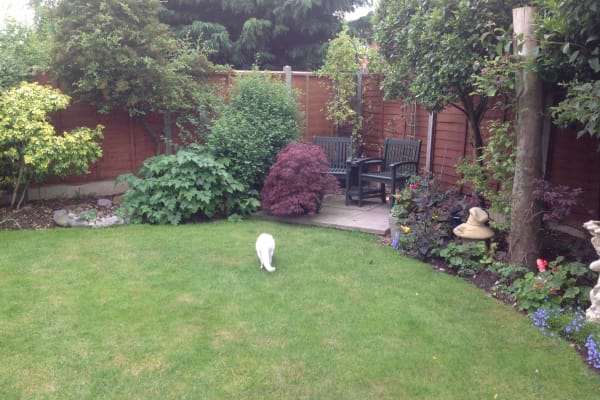 House sit in Sleaford, United Kingdom