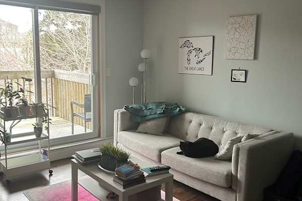 House sit in Halifax, NS, Canada
