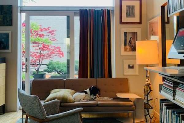 House sit in Brooklyn, NY, US