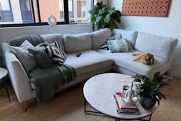 House sit in Sydney, NSW, Australia