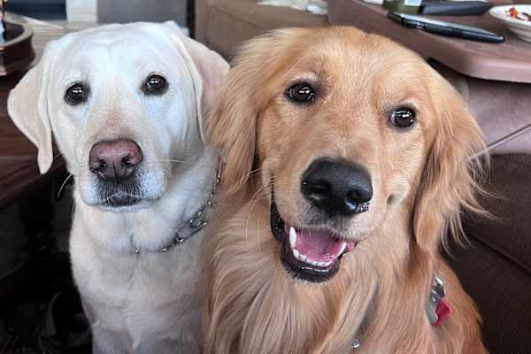 House sit in Park City, UT, US