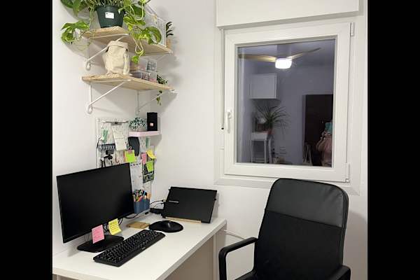 House sit in Madrid, Spain