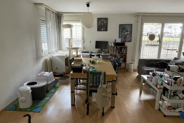 House sit in Zürich, Switzerland