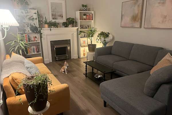 House sit in Calgary, AB, Canada