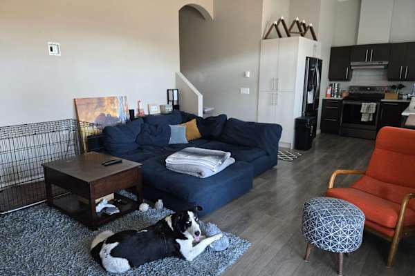 House sit in West Kelowna, BC, Canada