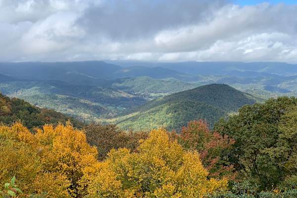 House sit in Asheville, NC, US