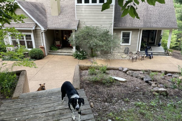 House sit in Labadie, MO, US