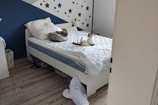 House sit in Königsbrunn, Germany