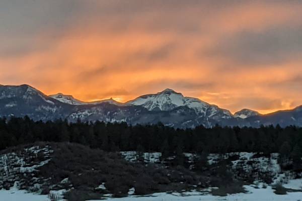 House sit in Pagosa Springs, CO, US