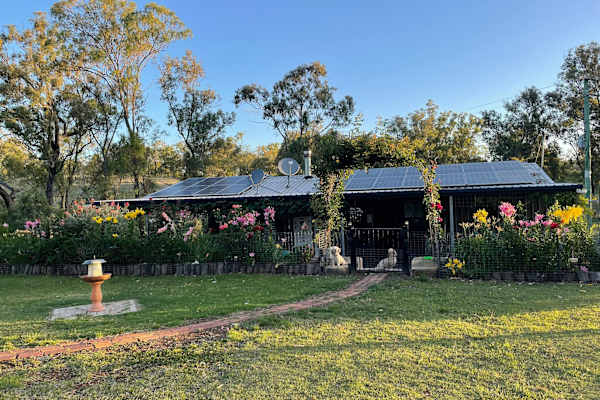 House sit in Crows Nest, QLD, Australia