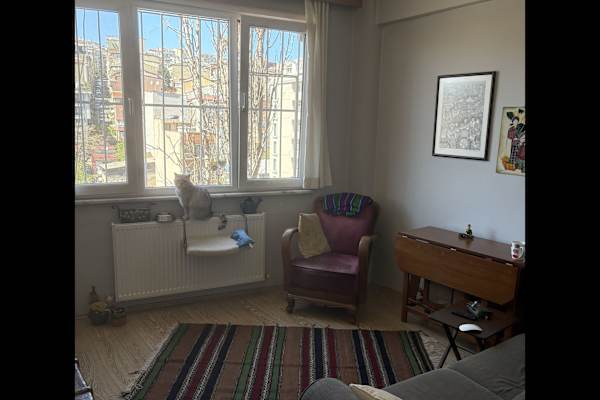 House sit in İstanbul, Turkey