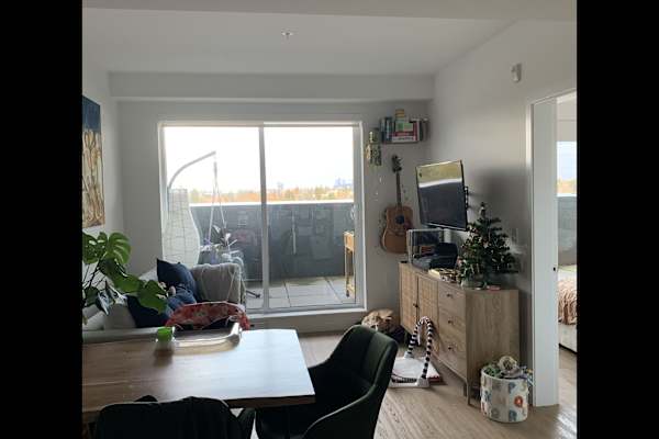 House sit in Vancouver, BC, Canada