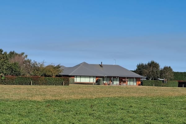 House sit in Ashburton, New Zealand