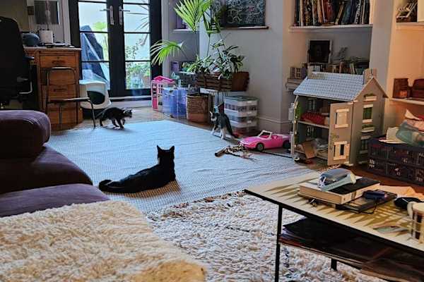 House sit in London, United Kingdom
