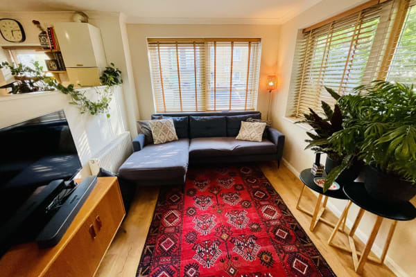 House sit in London, United Kingdom