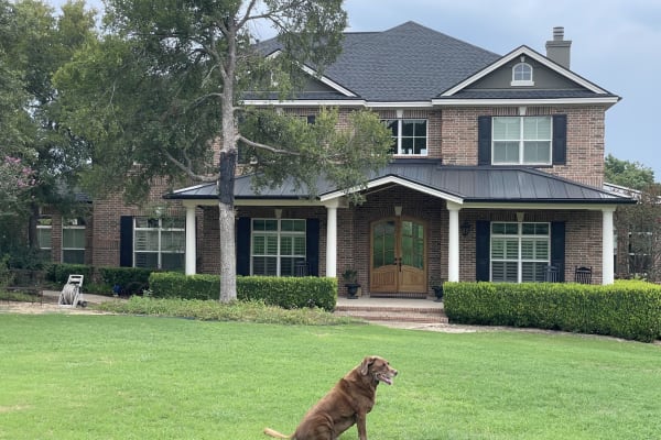 House sit in Georgetown, TX, US