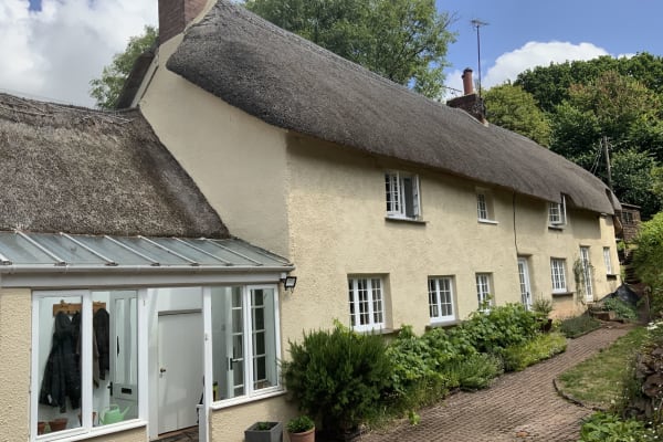 House sit in Exeter, United Kingdom