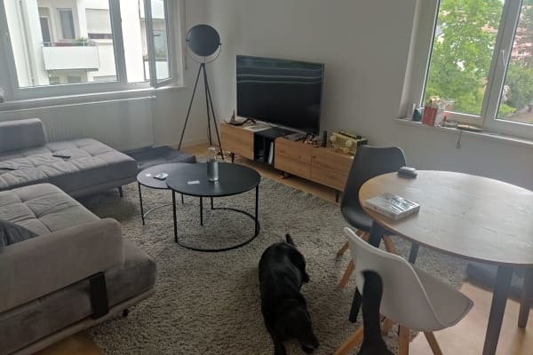 House sit in Stuttgart, Germany