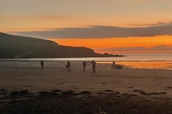 House sit in Kingsbridge, United Kingdom