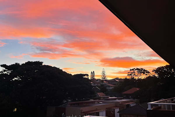 House sit in Sydney, NSW, Australia