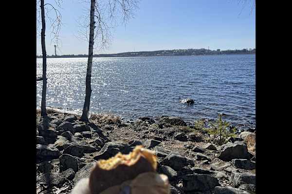 House sit in Tampere, Finland