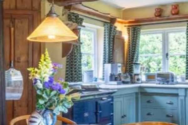 House sit in Beccles, United Kingdom