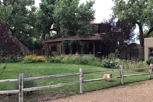 House sit in Corrales, NM, US