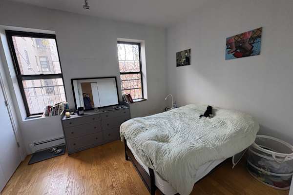 House sit in New York City, NY, US